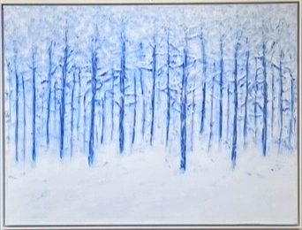 Slender blue tree trunks in a white snow forest