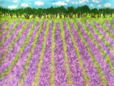 Rows of lavender in a field, with trees and clouds behind