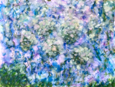 Blue and lavender hydrangea blossoms in loose, layered brushwork